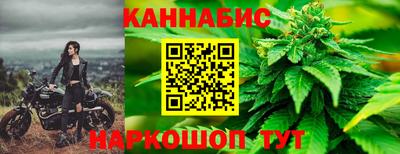 крисы Краснознаменск