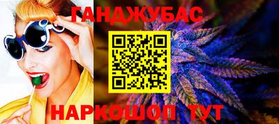 крисы Краснознаменск