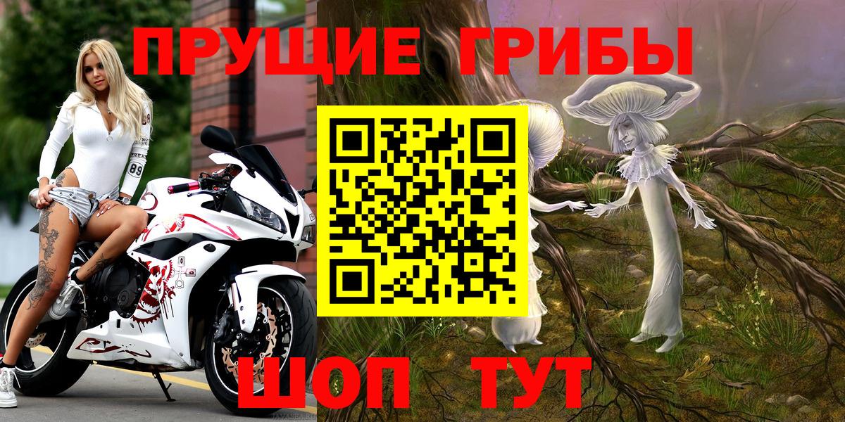 Великие Луки  Псилоцибиновые грибы Cubensis  Галлюциногенные грибы Psilocybe  Вход с VPN 